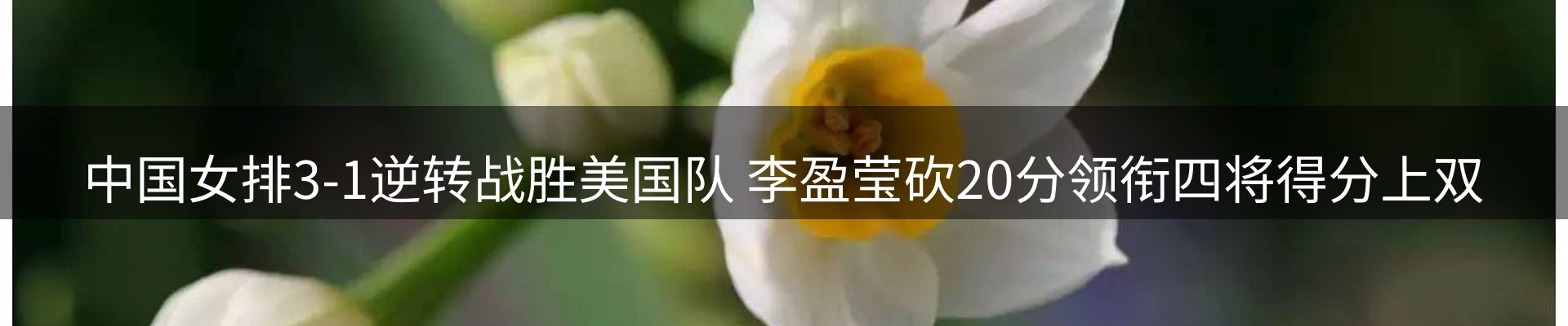 新闻资讯