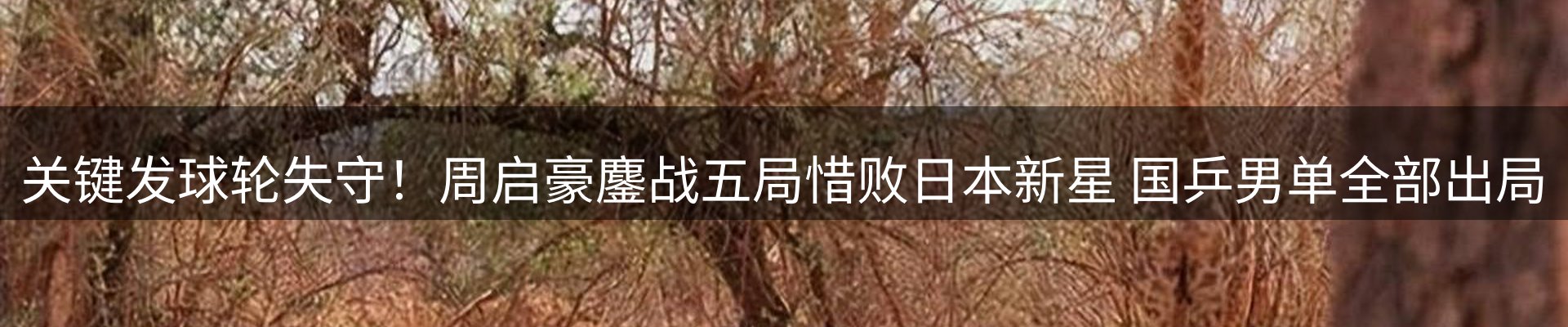 新闻资讯