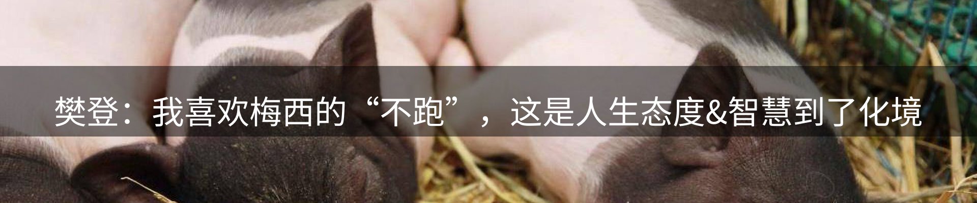 新闻资讯