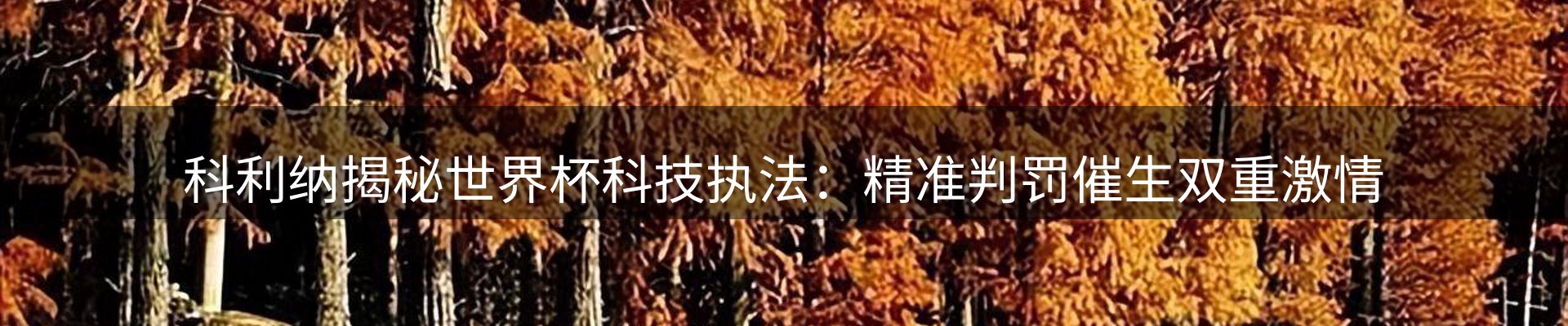 新闻资讯