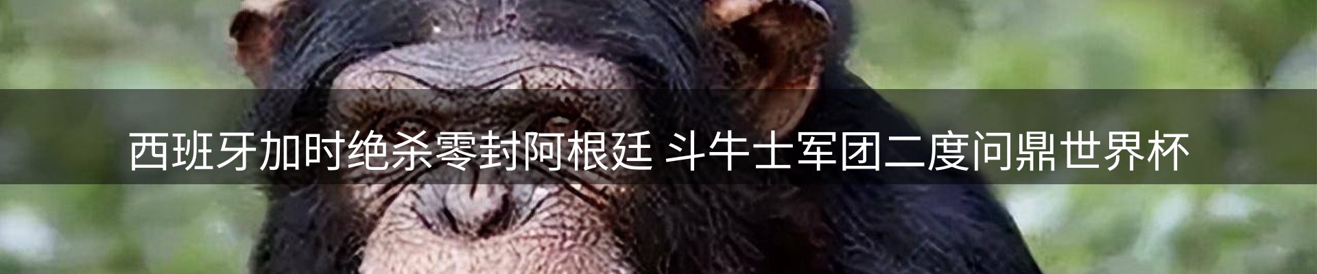 新闻资讯