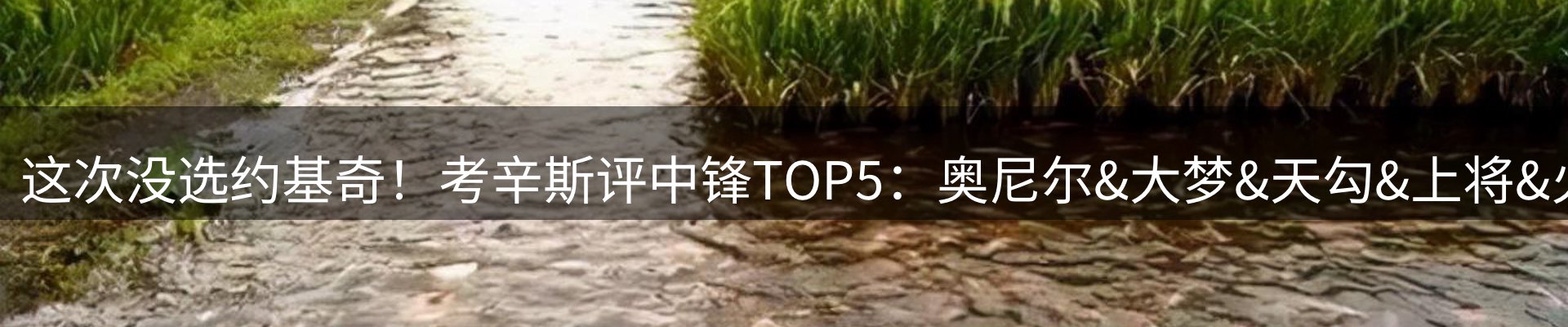 新闻资讯