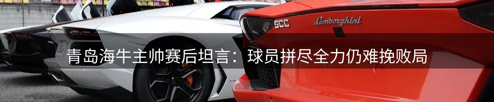 新闻资讯